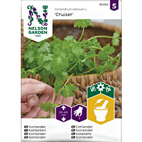 Korianteri Nelson Garden Cruiser, siemenet