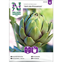 Latva-artisokka Nelson Garden Vert de Provence, siemenet