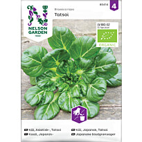 Japanilainen maustevihannes Nelson Garden Tatsoi Organic, siemenet