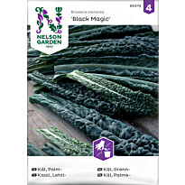 Lehtikaali Nelson Garden Black Magic, siemenet