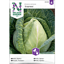 Suippokaali Nelson Garden Express, siemenet