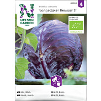 Kaali Nelson Garden Langedijker Bewaar Organic, siemenet