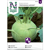 Kyssäkaali Nelson Garden Delikatess Weisser, siemenet