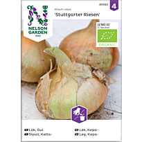 Keltasipuli Nelson Garden Stuttgart Riesen Organic, siemenet