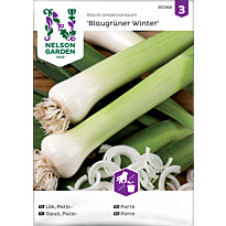 Purjosipuli Nelson Garden Blaugrüner Winter, siemenet