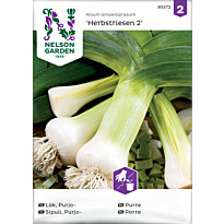 Purjosipuli Nelson Garden Purjo Herbstriesen 2, syksy, siemenet