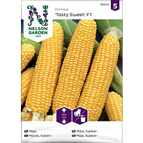 Sokerimaissi Nelson Garden Tasty Sweet F2, siemenet
