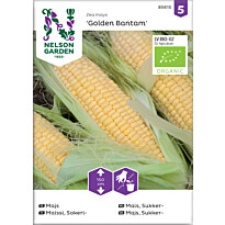 Sokerimaissi Nelson Garden Golden Bantam Organic, siemenet