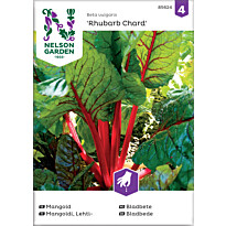 Lehtimangoldi Nelson Garden Rhubarb Chard, siemenet