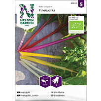 Lehtimangoldi Nelson Garden Fireworks Organic, siemenet