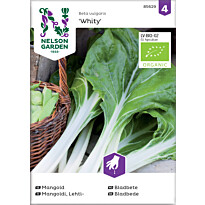 Lehtimangoldi Nelson Garden Whity Organic, siemenet