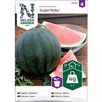 Vesimeloni Nelson Garden Sugar Baby, siemenet
