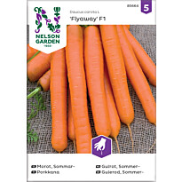 Porkkana Nelson Garden Flyaway F1, siemenet