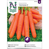 Porkkana Nelson Garden Nantaise 2, siemenet