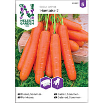 Porkkana Nelson Garden Nantaise 2, kylvönauha, siemenet