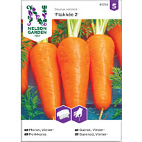 Porkkana Nelson Garden Flakkée 2, kylvönauha, siemenet