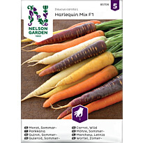 Porkkana Nelson Garden Harlequin Mix F1, siemenet