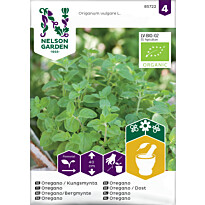 Oregano Nelson Garden Mäkimeirami Organic, siemenet