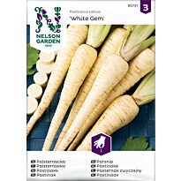 Palsternakka Nelson Garden White Gem, siemenet