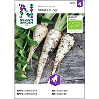 Palsternakka Nelson Garden White King Organic, siemenet