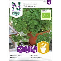 Persilja Nelson Garden Grüne Perle Organic, siemenet