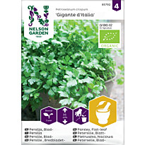 Persilja Nelson Garden Giga d&#039;Italia Organic, sileälehtinen, siemenet