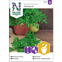 Persilja Nelson Garden Comun 3, sileälehtinen, siemenet