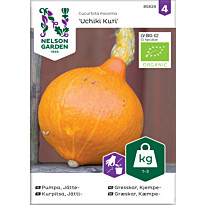 Jättikurpitsa Nelson Garden Uchiki Kuri Organic, siemenet