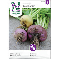 Kaskinauris Nelson Garden Enon kanta, siemenet