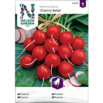 Retiisi Nelson Garden Cherry Belle, siemenet