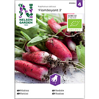 Retiisi Nelson Garden Flamboyant 2 Organic, siemenet