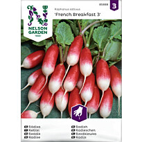 Retiisi Nelson Garden French Breakfast 3, siemenet