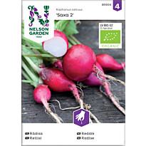 Retiisi Nelson Garden Saxa 2 Organic, siemenet