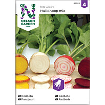 Punajuuri Nelson Garden Hullahoop Mix, siemenet