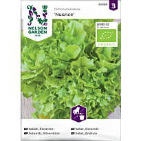 Endiivisalaatti Nelson Garden Silo Nuance Organic, siemenet