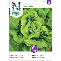 Keräsalaatti Nelson Garden Attractie, siemenet