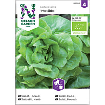 Keräsalaatti Nelson Garden Matilda Organic, siemenet