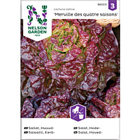 Keräsalaatti Nelson Garden Merveille des quatres, siemenet