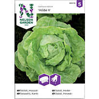 Keräsalaatti Nelson Garden Hilde II, kylvönauha, siemenet