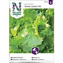Jäävuorisalaatti Nelson Garden Great Lakes 118, siemenet