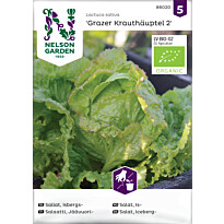 Jäävuorisalaatti Nelson Garden Grazer Krauthäuptel, siemenet