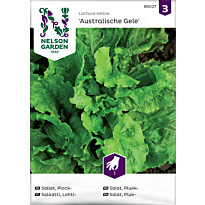 Lehtisalaatti Nelson Garden Australialainen, siemenet