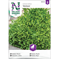 Lehtisalaatti Nelson Garden Skilton, siemenet