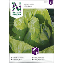 Sidesalaatti Nelson Garden Globus, siemenet