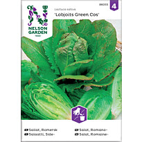 Sidesalaatti Nelson Garden Lobjoits Green Cos, siemenet