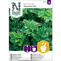 Selleri Nelson Garden Yrtti Gewone Snij, siemenet