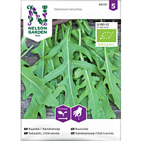 Villirukolasalaatti Nelson Garden Organic, siemenet