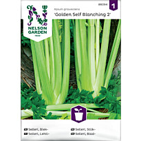 Lehtiselleri Nelson Garden Golden Self Blanching 2, siemenet
