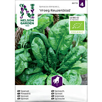 Pinaatti Nelson Garden Vroeg Reuzenblad Organic, siemenet