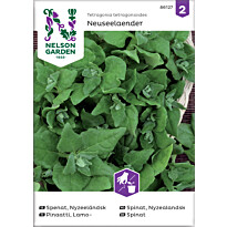 Lamopinaatti Nelson Garden Uudenseelannin, siemenet